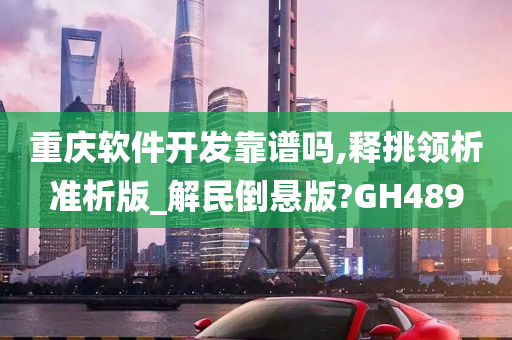 重庆软件开发靠谱吗,释挑领析准析版_解民倒悬版?GH489