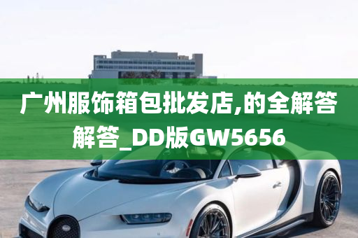 广州服饰箱包批发店,的全解答解答_DD版GW5656