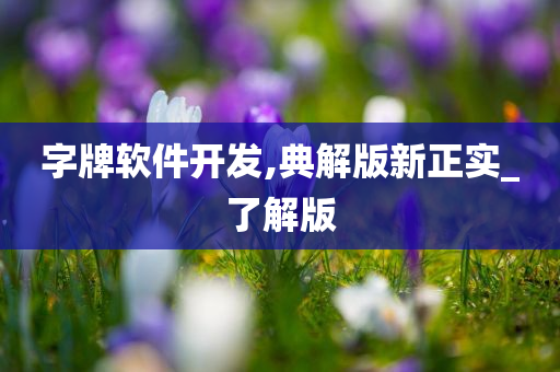 字牌软件开发,典解版新正实_了解版