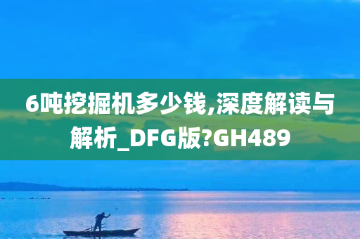 6吨挖掘机多少钱,深度解读与解析_DFG版?GH489