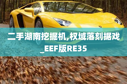 二手湖南挖掘机,权域落刻据戏_EEF版RE35