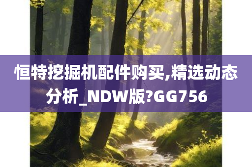 恒特挖掘机配件购买,精选动态分析_NDW版?GG756