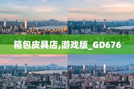 箱包皮具店,游戏版_GD676