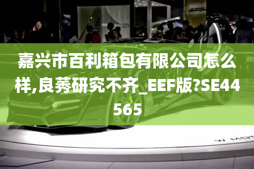 嘉兴市百利箱包有限公司怎么样,良莠研究不齐_EEF版?SE44565