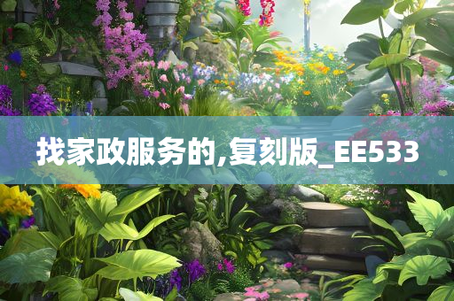 找家政服务的,复刻版_EE533