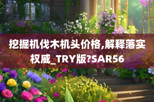 挖掘机伐木机头价格,解释落实权威_TRY版?SAR56