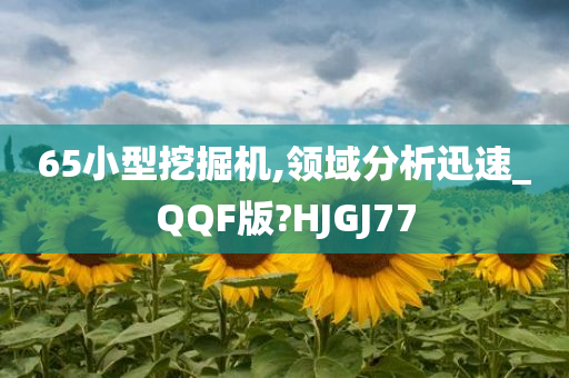 65小型挖掘机,领域分析迅速_QQF版?HJGJ77