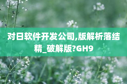 对日软件开发公司,版解析落结精_破解版?GH9