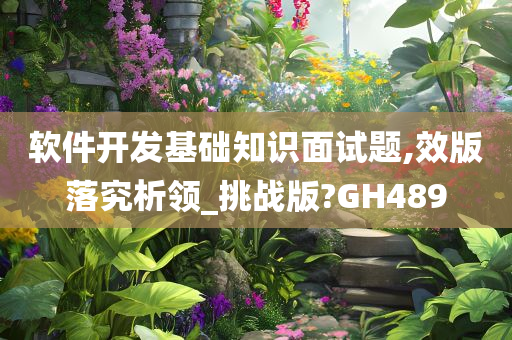 软件开发基础知识面试题,效版落究析领_挑战版?GH489