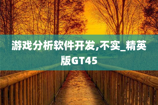 游戏分析软件开发,不实_精英版GT45