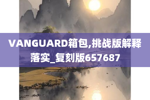 VANGUARD箱包,挑战版解释落实_复刻版657687