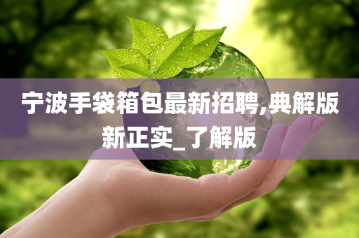 宁波手袋箱包最新招聘,典解版新正实_了解版