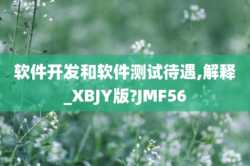 软件开发和软件测试待遇,解释_XBJY版?JMF56