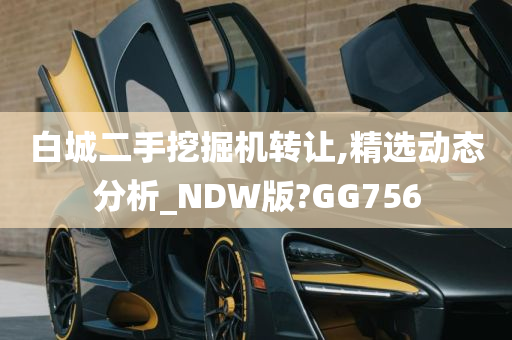 白城二手挖掘机转让,精选动态分析_NDW版?GG756