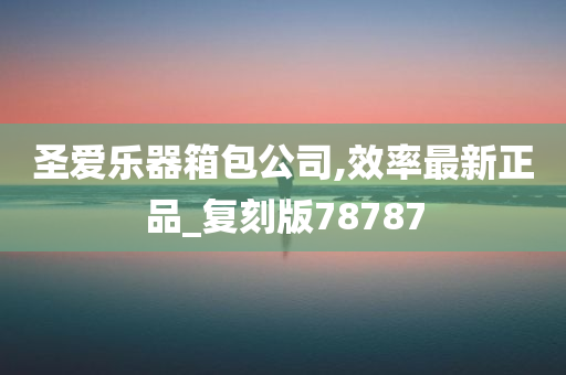 圣爱乐器箱包公司,效率最新正品_复刻版78787