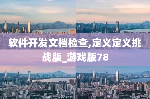 软件开发文档检查,定义定义挑战版_游戏版78