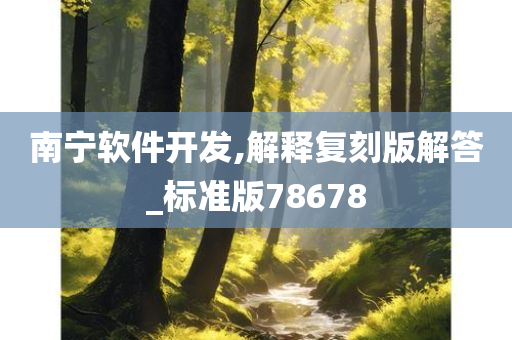 南宁软件开发,解释复刻版解答_标准版78678