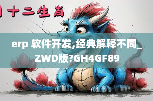 erp 软件开发,经典解释不同_ZWD版?GH4GF89