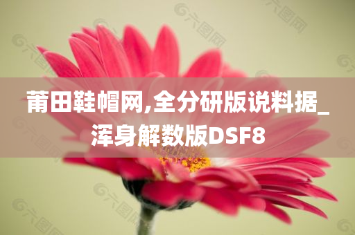 莆田鞋帽网,全分研版说料据_浑身解数版DSF8