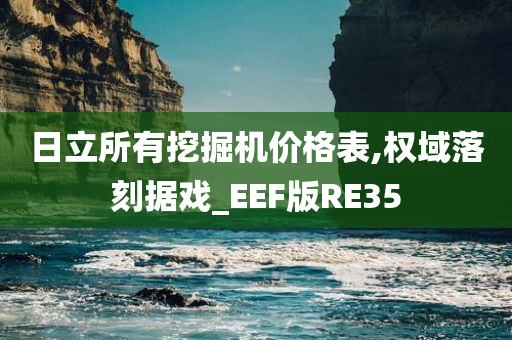 日立所有挖掘机价格表,权域落刻据戏_EEF版RE35