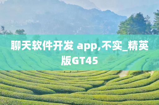 聊天软件开发 app,不实_精英版GT45