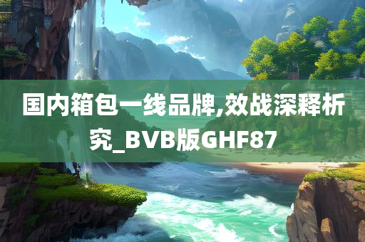 国内箱包一线品牌,效战深释析究_BVB版GHF87