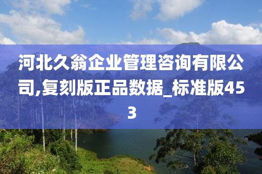 河北久翁企业管理咨询有限公司,复刻版正品数据_标准版453