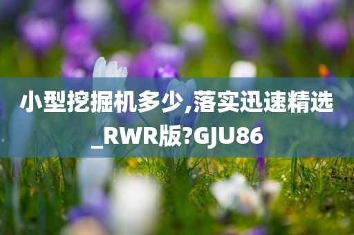 小型挖掘机多少,落实迅速精选_RWR版?GJU86