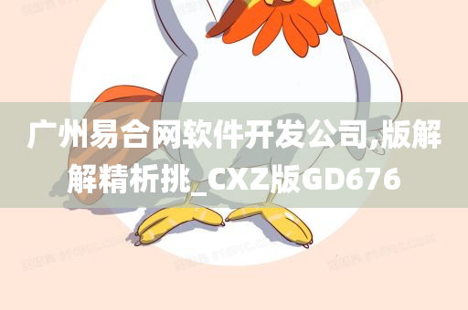 广州易合网软件开发公司,版解解精析挑_CXZ版GD676