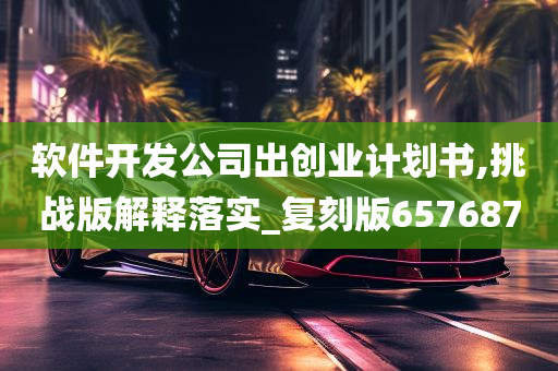 软件开发公司出创业计划书,挑战版解释落实_复刻版657687