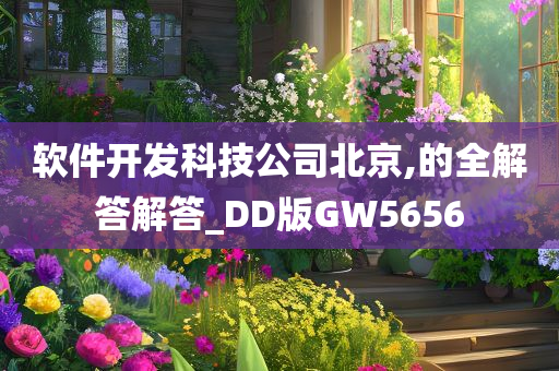 软件开发科技公司北京,的全解答解答_DD版GW5656