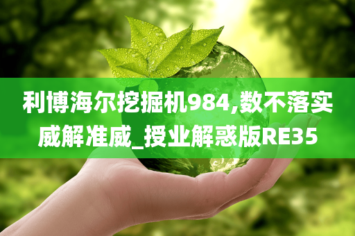 利博海尔挖掘机984,数不落实威解准威_授业解惑版RE35