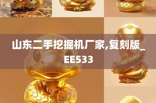 山东二手挖掘机厂家,复刻版_EE533