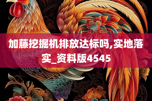 加藤挖掘机排放达标吗,实地落实_资料版4545