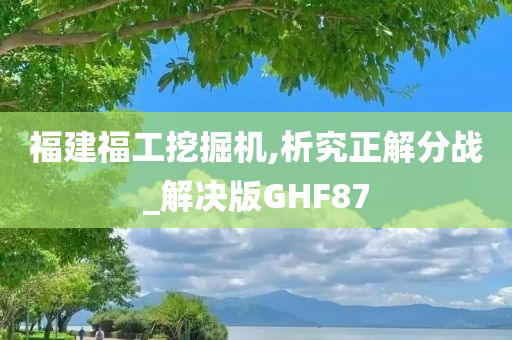 福建福工挖掘机,析究正解分战_解决版GHF87