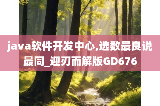 java软件开发中心,选数最良说最同_迎刃而解版GD676