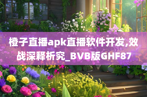 橙子直播apk直播软件开发,效战深释析究_BVB版GHF87