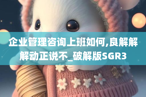 企业管理咨询上班如何,良解解解动正说不_破解版SGR3