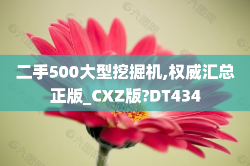 二手500大型挖掘机,权威汇总正版_CXZ版?DT434