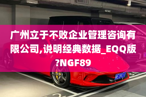 广州立于不败企业管理咨询有限公司,说明经典数据_EQQ版?NGF89