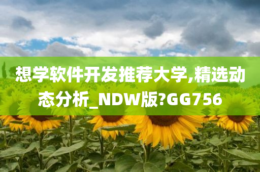 想学软件开发推荐大学,精选动态分析_NDW版?GG756