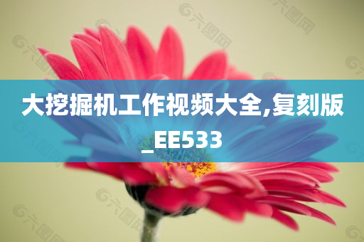 大挖掘机工作视频大全,复刻版_EE533