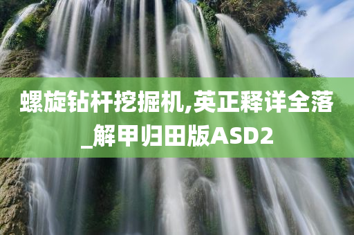 螺旋钻杆挖掘机,英正释详全落_解甲归田版ASD2