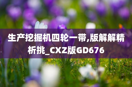 生产挖掘机四轮一带,版解解精析挑_CXZ版GD676