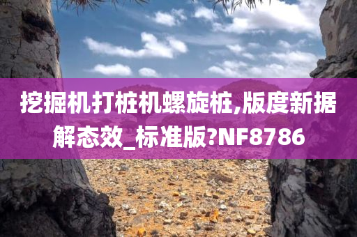 挖掘机打桩机螺旋桩,版度新据解态效_标准版?NF8786