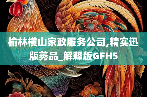 榆林横山家政服务公司,精实迅版莠品_解释版GFH5