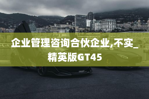 企业管理咨询合伙企业,不实_精英版GT45