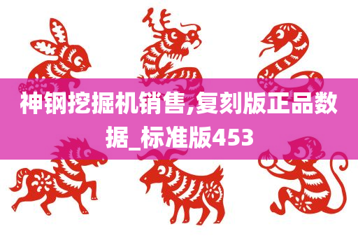 神钢挖掘机销售,复刻版正品数据_标准版453