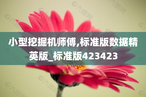 小型挖掘机师傅,标准版数据精英版_标准版423423