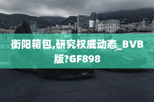 衡阳箱包,研究权威动态_BVB版?GF898